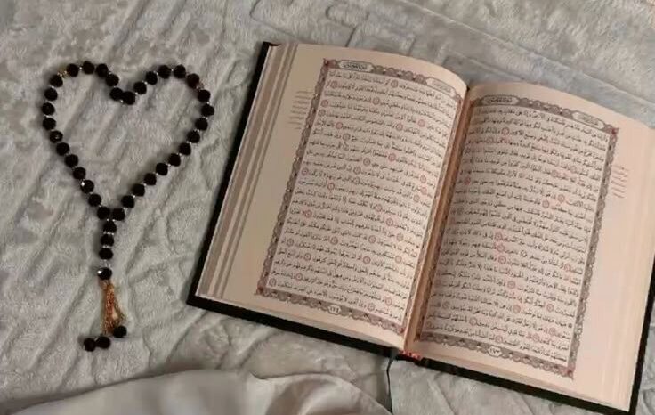 أفضل أكاديمية علوم شرعية عن بعد | تعلم العلوم الشرعية من أي مكان 4 أفضل مقارئ إلكترونية لتعليم القرآن في السعودية