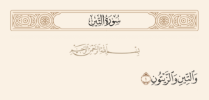 تفسير سورة التين – فضائلها وأسباب نزولها