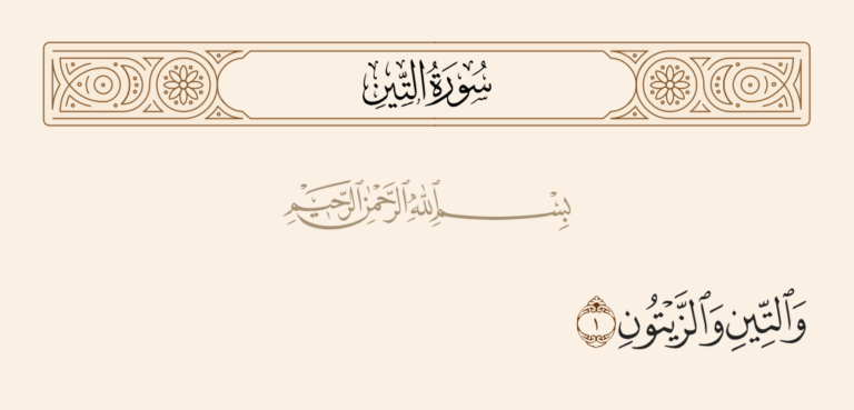 تفسير سورة التين – فضائلها وأسباب نزولها