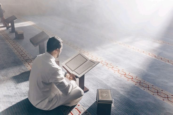 تعليم قراءة القرآن بالتجويد للمبتدئين